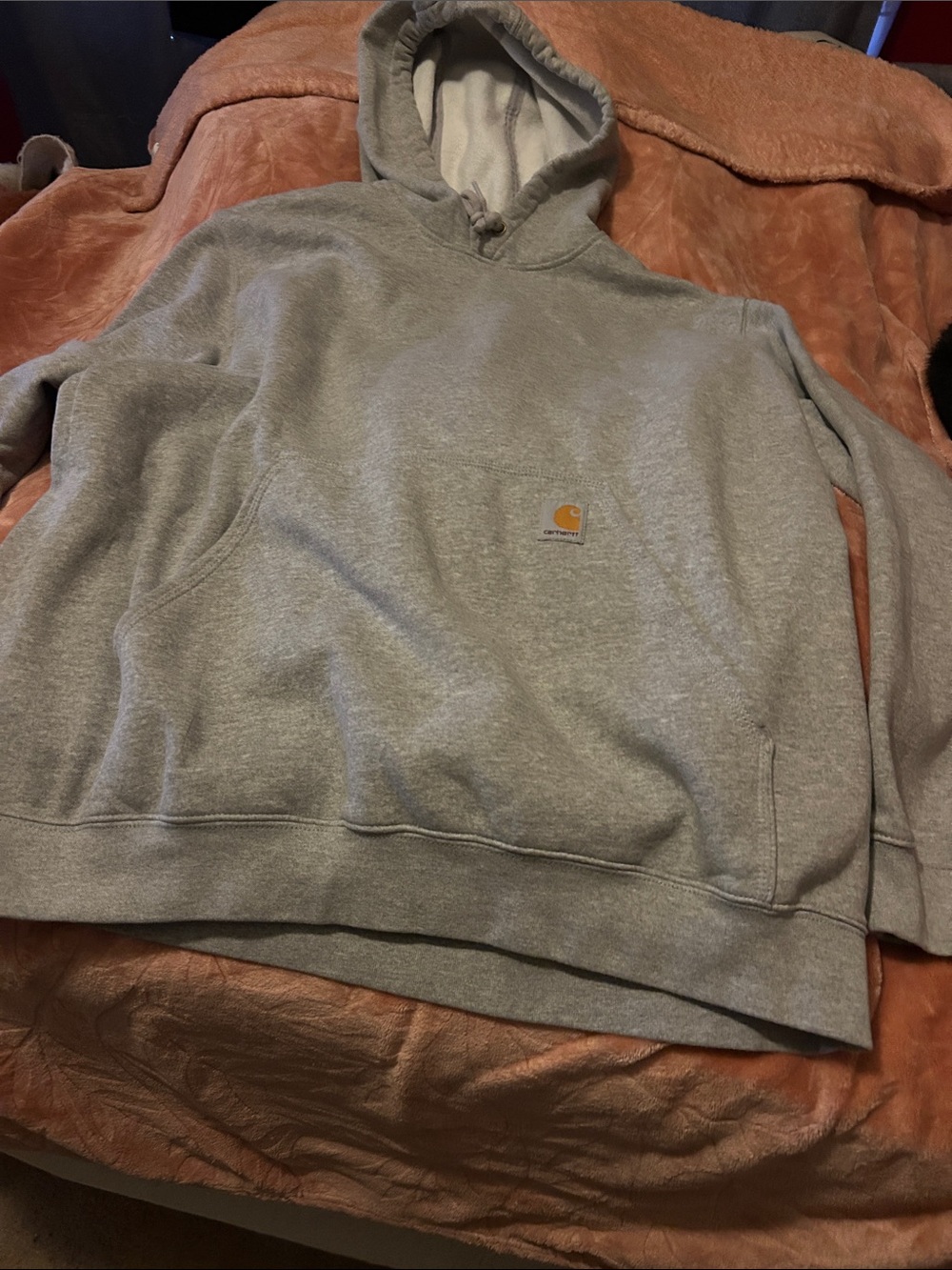 HP🎊Carhartt Light Gray Pullover Hoodie